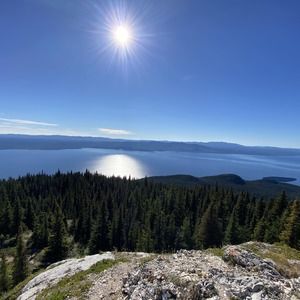 Meet your Posher, Olena